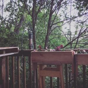 Meet your Posher, Tyler